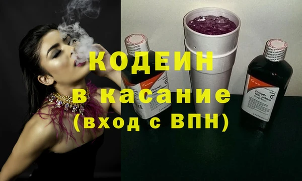 индика Абаза