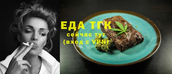 индика Абаза