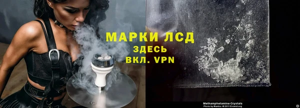 индика Абаза