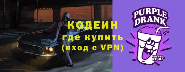 индика Абаза