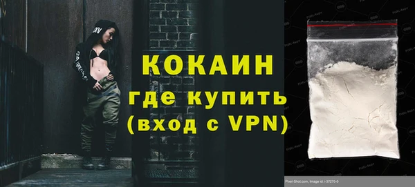 индика Абаза