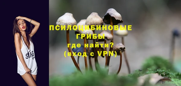 СК Абдулино