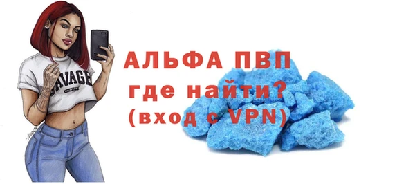 индика Абаза