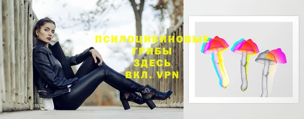 ГАЛЛЮЦИНОГЕННЫЕ ГРИБЫ Корсаков