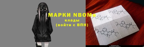 индика Абаза