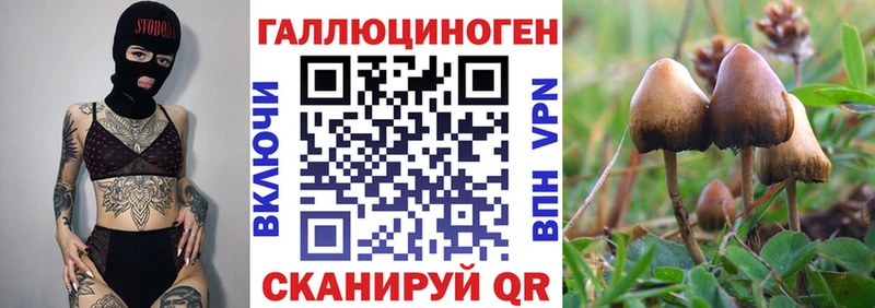 Псилоцибиновые грибы Psilocybe Балаково